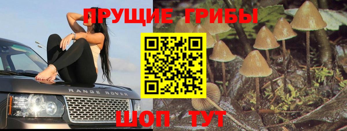 Псилоцибиновые грибы ЛСД  Вход с VPN  Карачаевск 