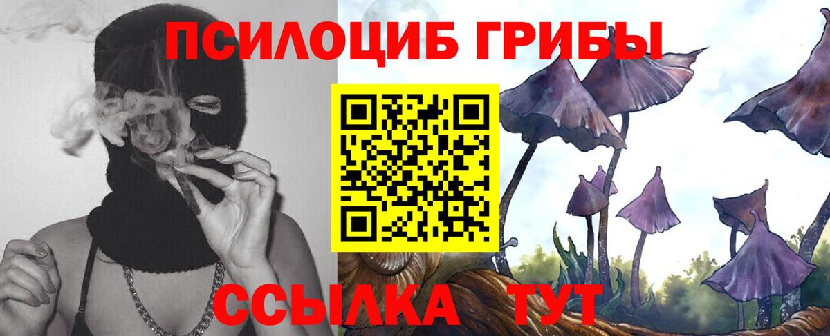 Псилоцибиновые грибы Cubensis Карачаевск